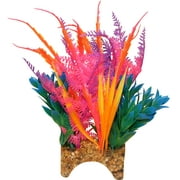Blue Ribbon Vibran-Sea Garden Clusters Tropical Archway Plant