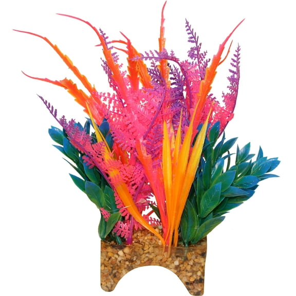 Blue Ribbon Vibran-Sea Garden Clusters Tropical Archway Plant