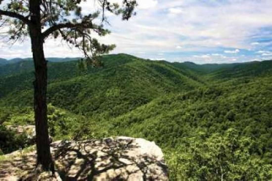 Blue Ridge Canvas Art - Alan Hausenflock (20 x 28)