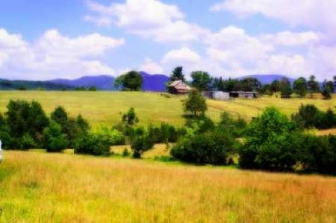 Blue Ridge Farm II Canvas Art - Alan Hausenflock (20 x 28)