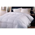 thumbnail image 1 of Blue Ridge Home Fashions Cotton 250 Thread Count All Season Warm Down Blend Comforter Full - Queen, 1 of 2