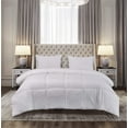 thumbnail image 1 of Blue Ridge Home Fashions Polyester Down Alternative Comforter - Full/Queen, 1 of 5