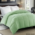 thumbnail image 1 of Blue Ridge Home Fashions Premium 300 Thread Count Down Alternative Comforter Sage Full - Queen, 1 of 5