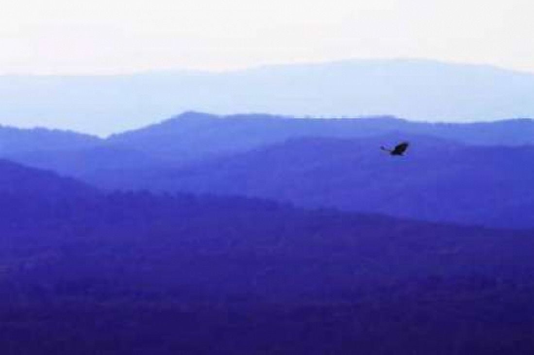 Blue Ridge I Canvas Art - Alan Hausenflock (20 x 28)