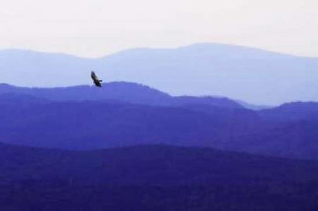 Blue Ridge II Canvas Art - Alan Hausenflock (20 x 28)
