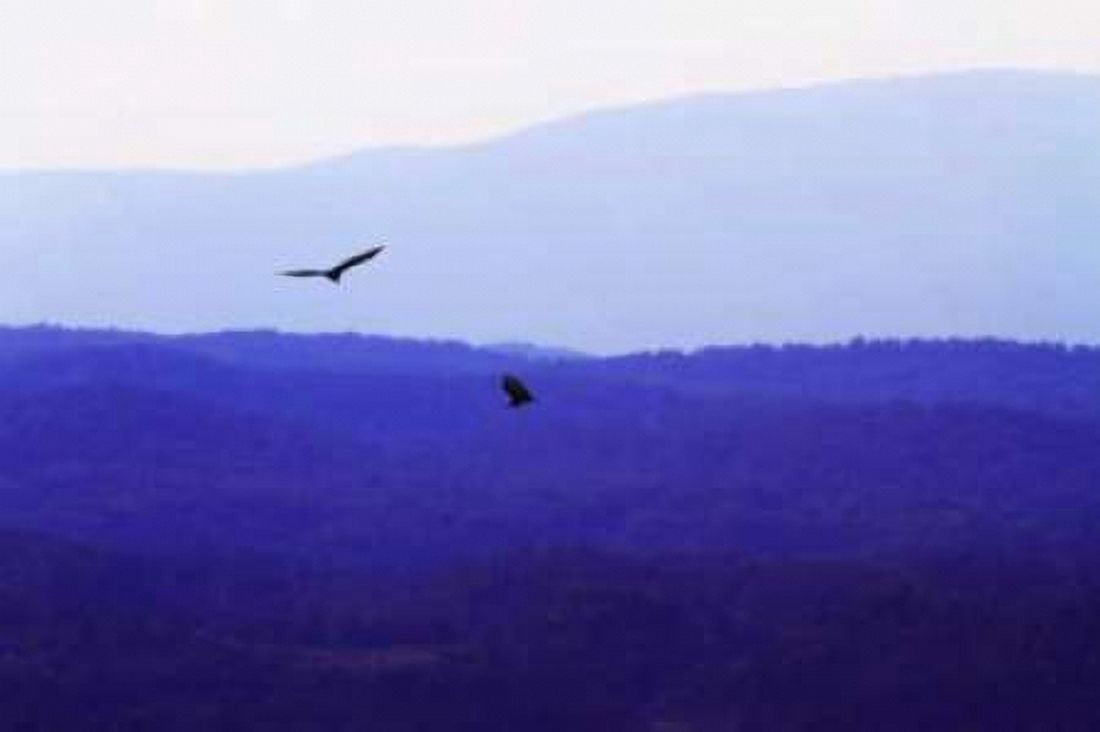Blue Ridge III Canvas Art - Alan Hausenflock (20 x 28)