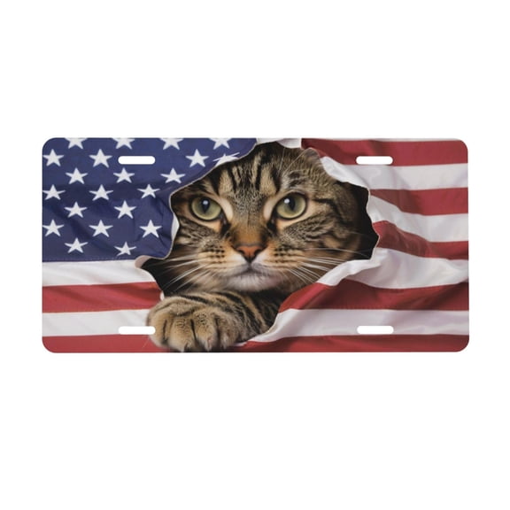 Blue Ridge Mountains Front License Plate for Women Car Vanity Plates Decorative Aluminum Metal Cute Novelty License Plate Cover for Men 6x12 Inch (4 Holes)