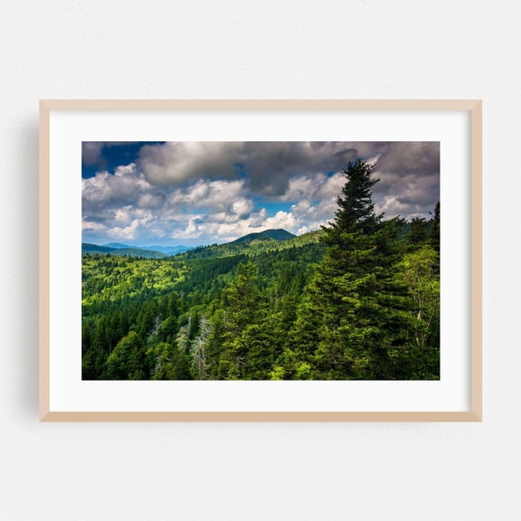 Blue Ridge Parkway North Carolina Forest Nature Landscape Mountain Fine Scenic Summer Poster Unframed Paper Print