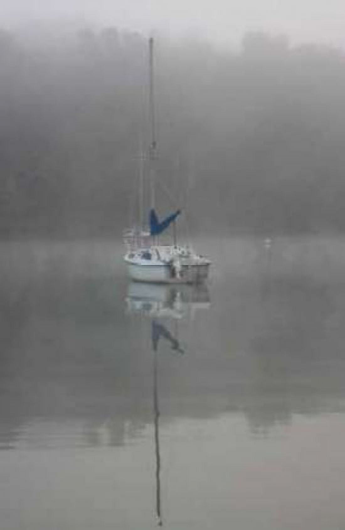 Blue Sail Canvas Art - Tammy Putman (24 x 36)