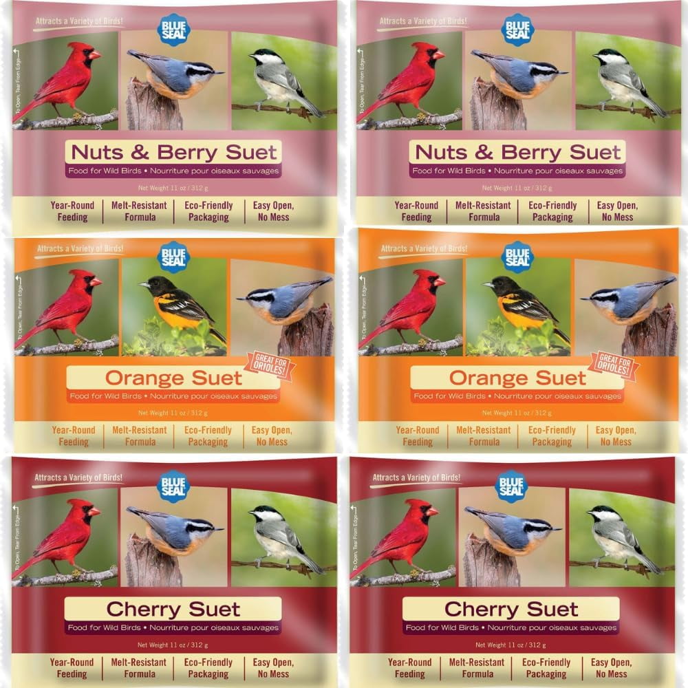 Blue Seal Berry Blend Suet Cakes for Wild Birds No Mess Suet Feed