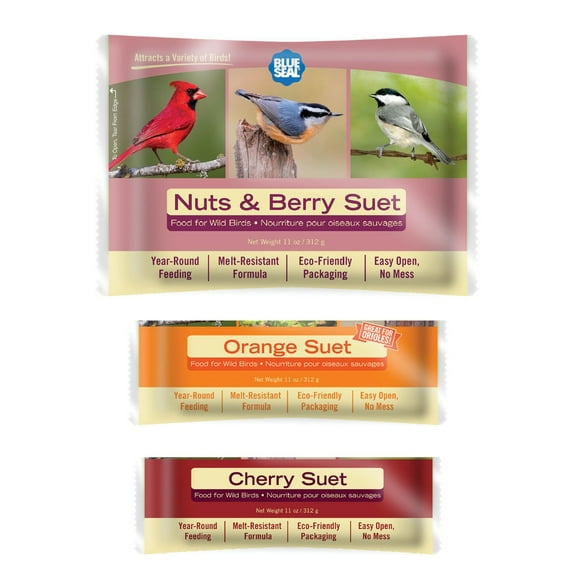 Blue Seal Berry Blend Suet Cakes for Wild Birds - 11oz Suet Feeder (Variety Pack of 6) - New