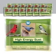 thumbnail image 1 of Blue Seal High Energy Suet Cakes for Wild Birds - 11oz Suet Feeder (Pack of 12) - New, 1 of 5