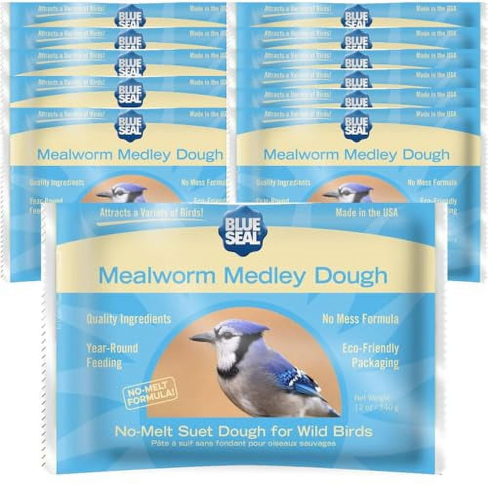 Blue Seal Mealworm Medley Suet Dough Cake No Mess Wild Bird Suet 12