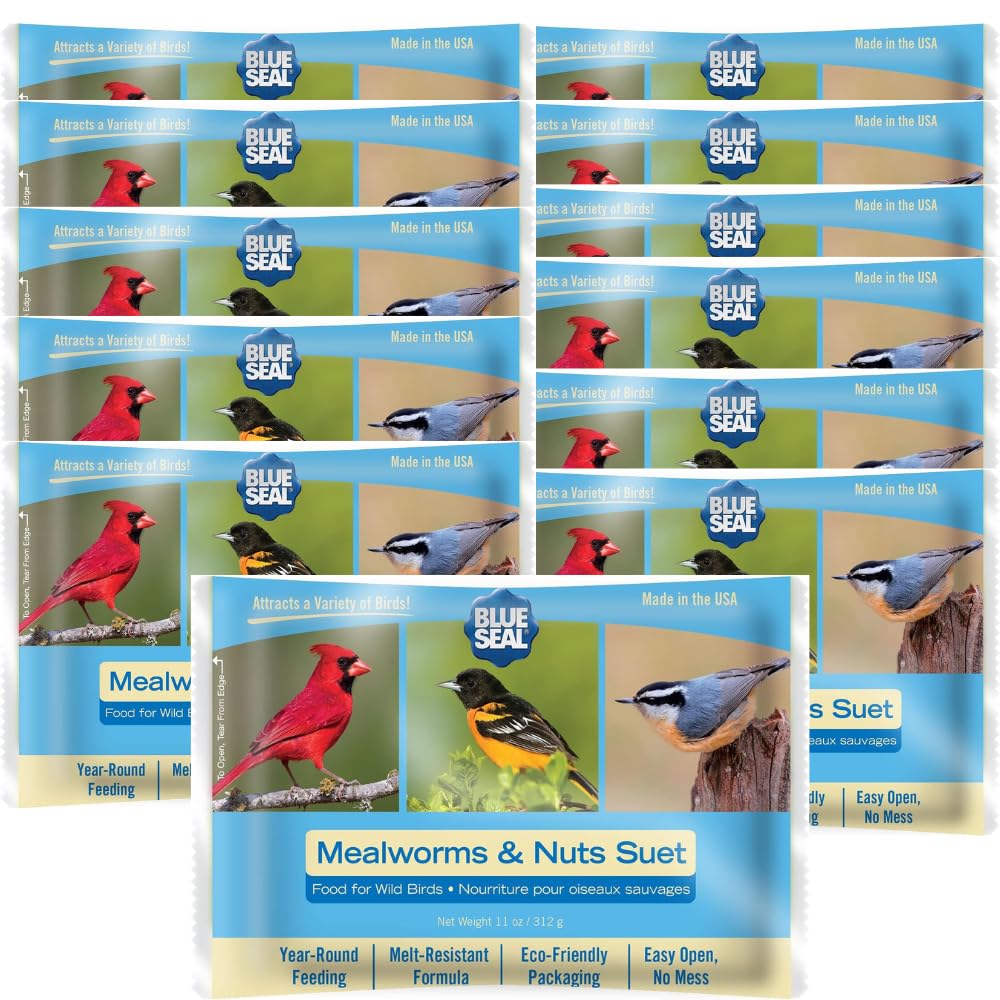 Blue Seal Mealworms & MMF7 Nuts Suet Cakes for Wild Birds No Mess