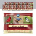 thumbnail image 1 of Blue Seal Multi-Bird Suet Cakes with Easy-Open Wrapper, 11 oz Capacity (12 Pack), 1 of 6
