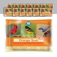 thumbnail image 1 of Blue Seal Orange Suet Cakes for Wild Birds - 11oz Suet Feeder (Pack of 12) - New, 1 of 6