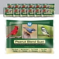 thumbnail image 1 of Blue Seal Peanut Blend Suet Cakes for Wild Birds - 11oz Suet Feeder (Pack of 12) - New, 1 of 5