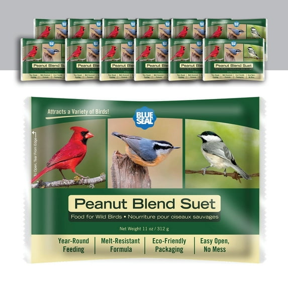 Blue Seal Peanut Blend Suet Cakes for Wild Birds - 11oz Suet Feeder (Pack of 12) - New