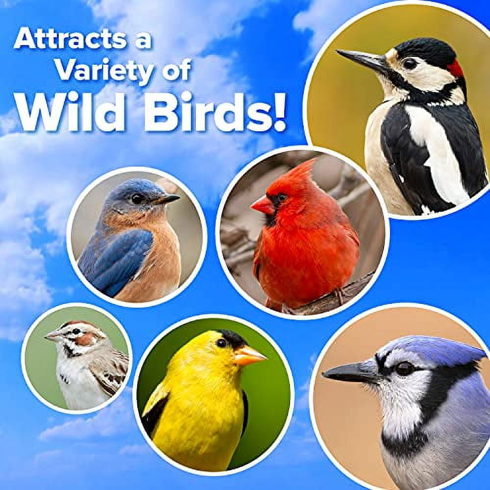 Blue Seal Woodpecker Party Suet Dough Cake No Mess Wild Bird Suet