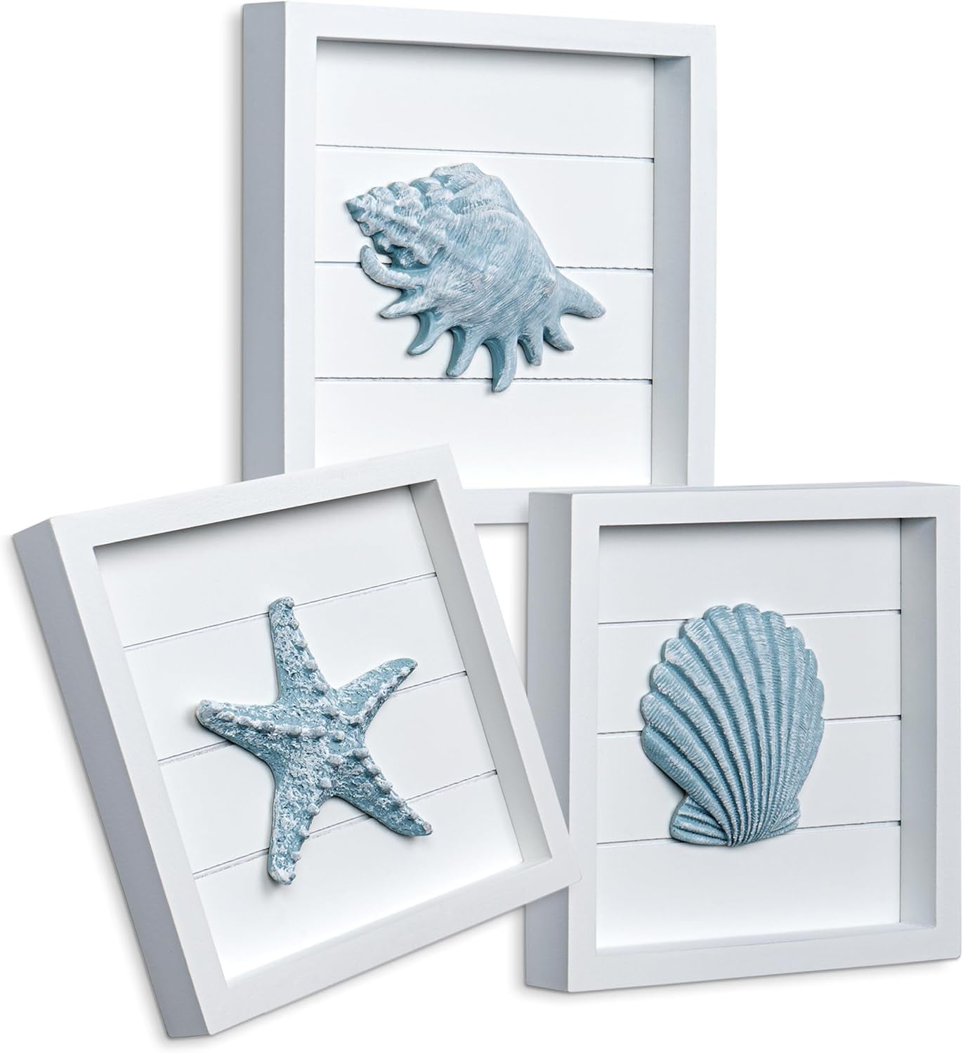 Blue Seashells and Starfish Coastal 3D Wall Art, Beach Wall Decor for ...