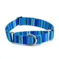 thumbnail image 1 of Country Brook Petz® Blue Serape Martingale Dog Collar, Medium, 1 of 6