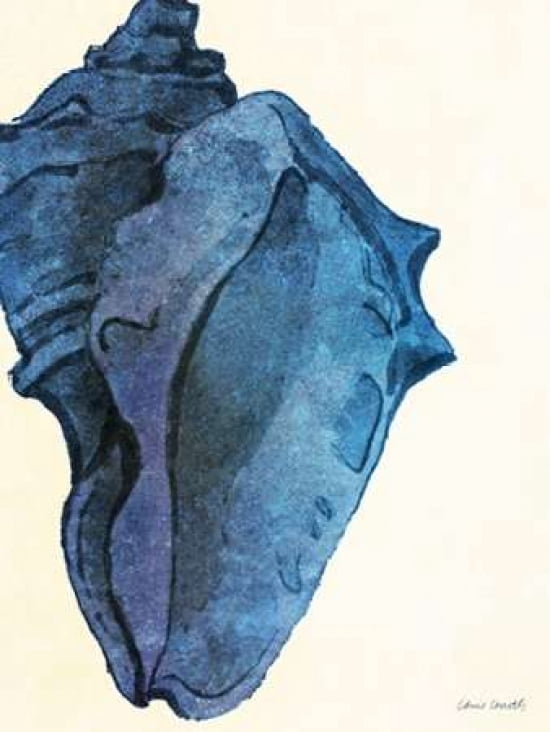 Blue Shell II Canvas Art - Lanie Loreth (22 x 28)