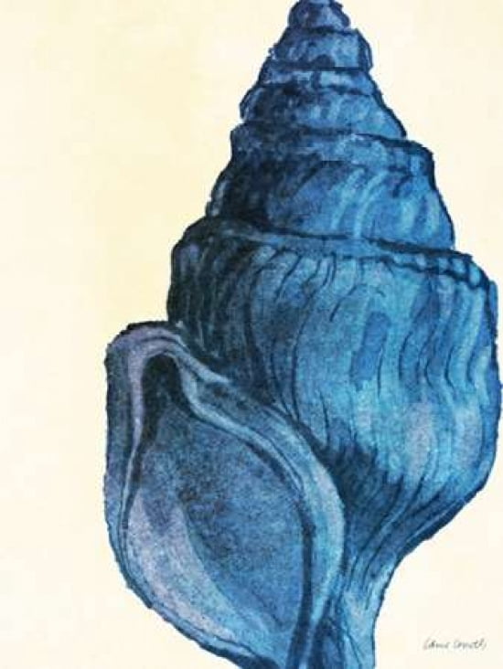 Blue Shell IV Canvas Art - Lanie Loreth (22 x 28)