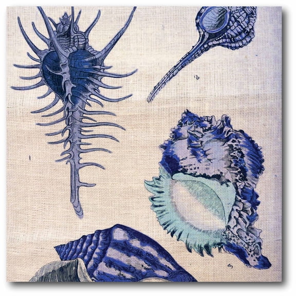Blue Shells I Gallery-Wrapped Canvas Wall Art, 16x16