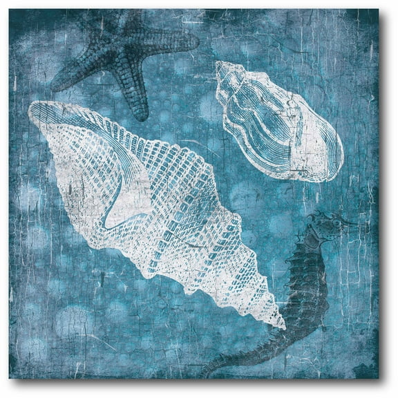Blue Shells II Gallery-Wrapped Canvas Wall Art, 16x16