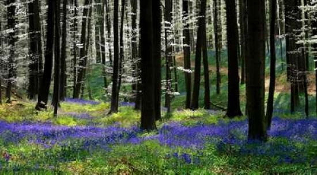 Blue Silver Canvas Art - Lars Van de Goor (12 x 18)