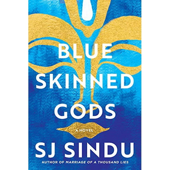 Pre-Owned Blue-Skinned Gods (Hardcover) 1641292423 9781641292429