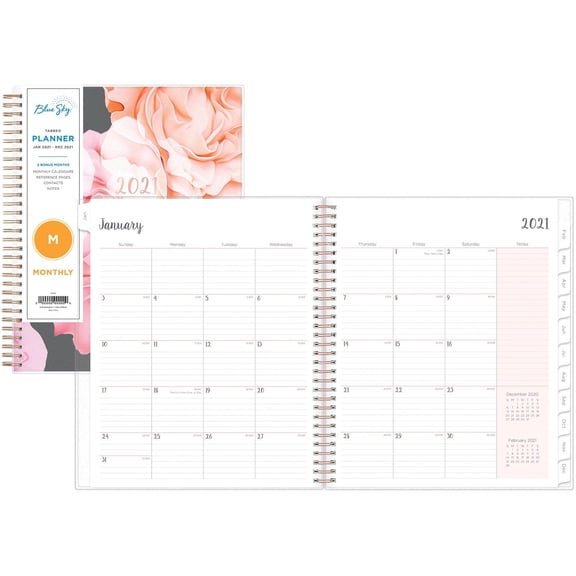 Blue Sky 2021 Monthly Planner, 8" x 10", Joselyn