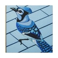 thumbnail image 1 of "Blue Sky Blue Jay" - Canvas, 1 of 25