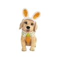 Blue Sky Clayworks 21248 In My Easter Best Golden Retriever Treat Jar