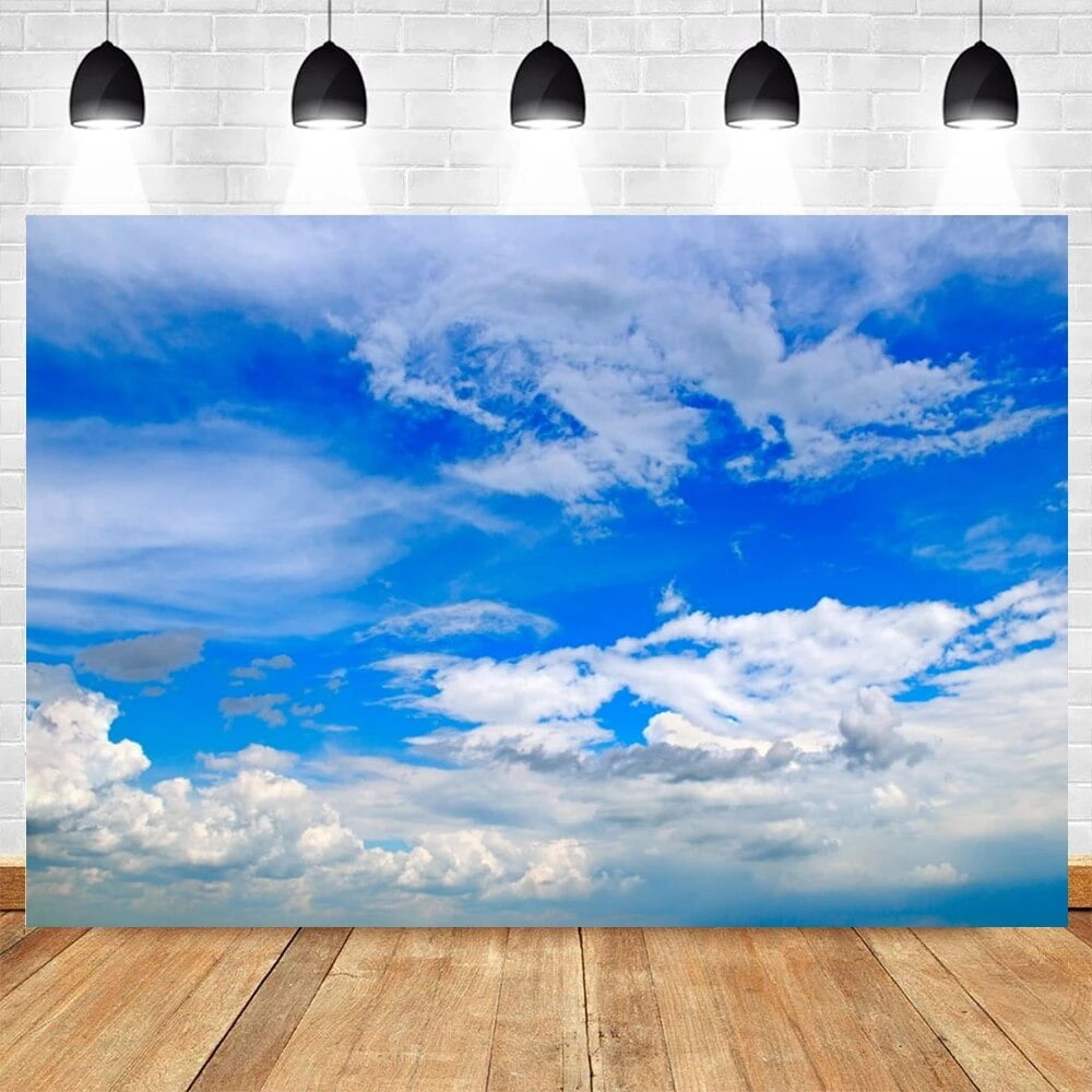 Blue Sky Cloudy Natural scenery Photocall Backdrop Baby Shower Birthday ...