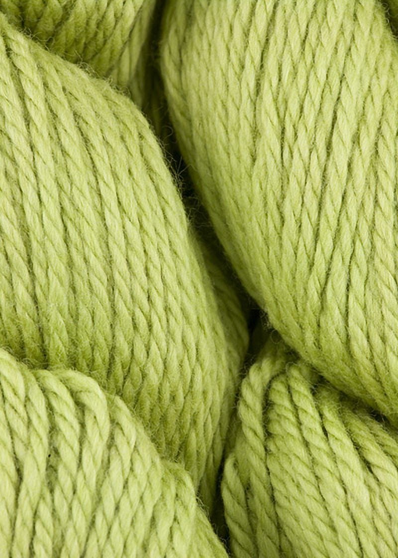 Blue Sky Fibers - Sweater Knitting Yarn - Grass (# 7502)