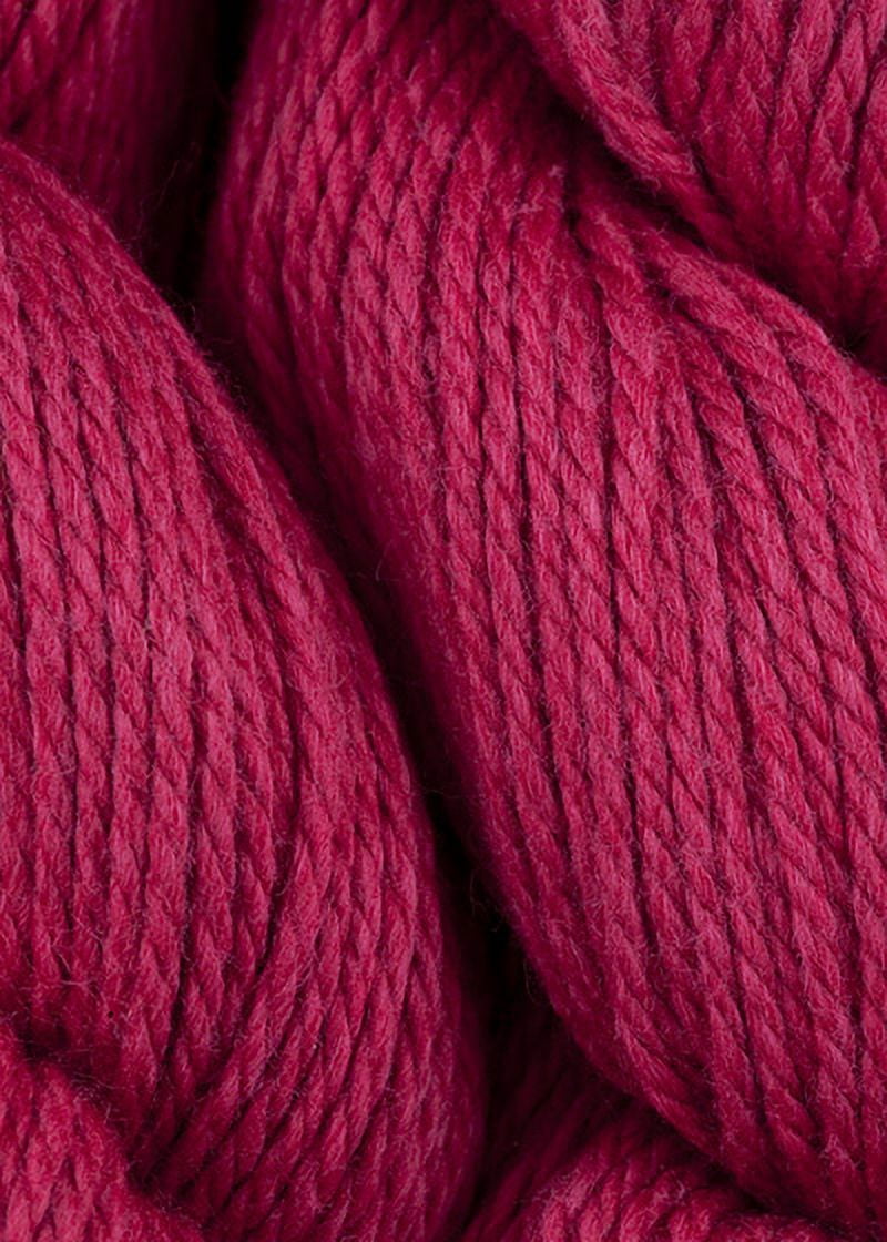 Blue Sky Fibers - Sweater Knitting Yarn - Popsicle (# 7501)