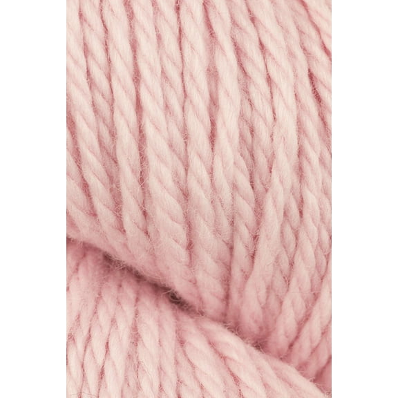 Blue Sky Fibers - Sweater Knitting Yarn - Tiny Dancer (# 7526)