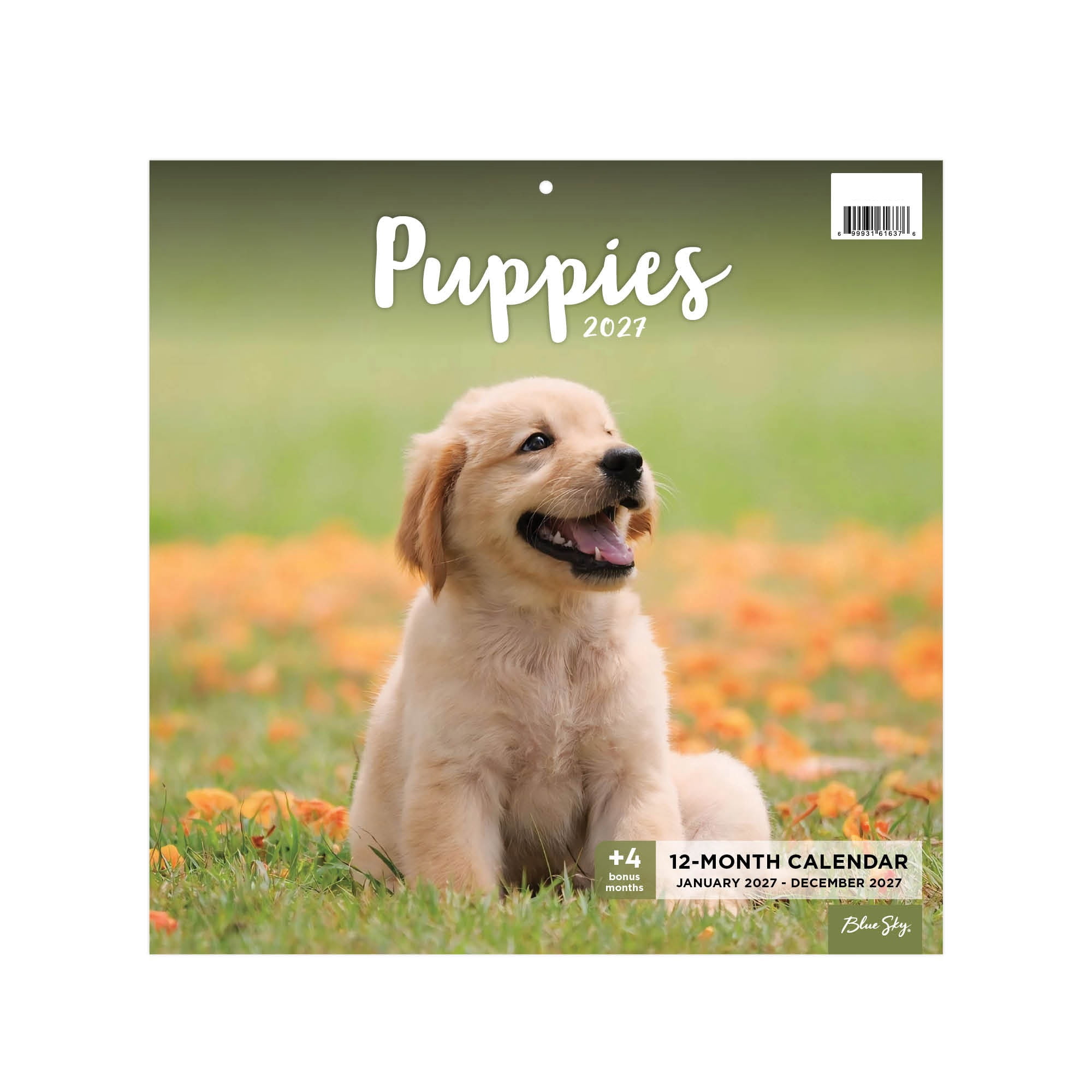 Blue Sky Monthly Stapled Calendar 12" x 12" Puppies (Jan 2027 - Dec 2027)