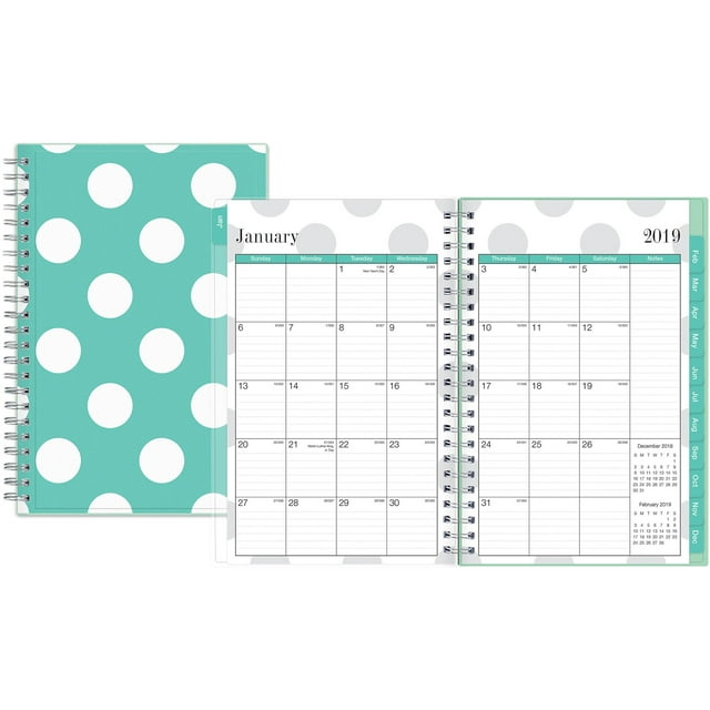 Blue Sky Penelope Weekly/Monthly Planner, Clear, Multi