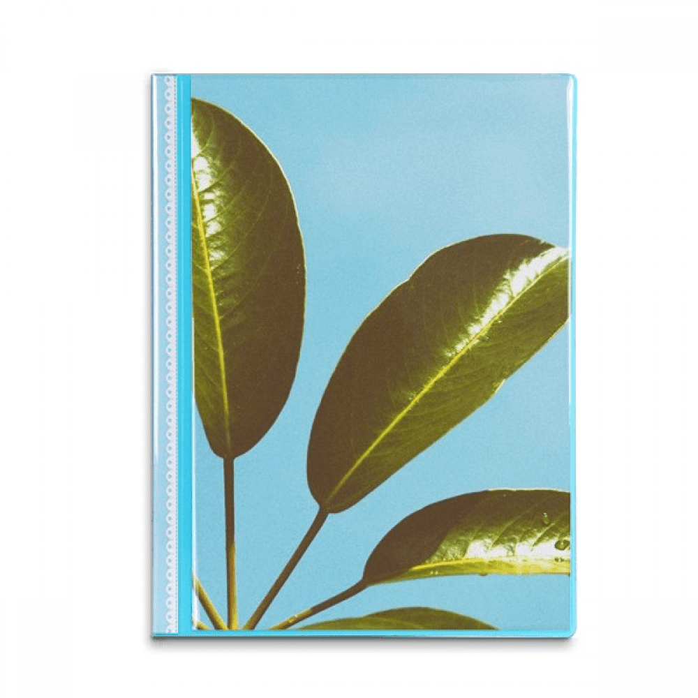 Blue Sky   Picture Nature Book Sheet Protectors Portfolio Binder Folder