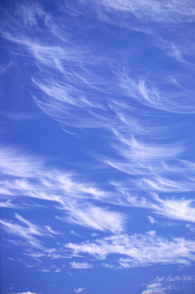 Blue Sky With Horse-Tail Wispy Clouds A35B Canvas Art - Erik Aeder Design Pics (24 x 38)