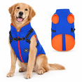 Blue Small Dog Winter Jacket with Built-in Harness, Waterproof ...
