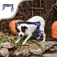thumbnail image 1 of Blue Spider Halloween Pet Costume - Funny Tarantula Dog Outfit For Halloween Parties & Photo Ops,Halloween Pet Tarantula Costume Halloween Dog Transformation Costume Tarantula Decoration Costume, 1 of 6
