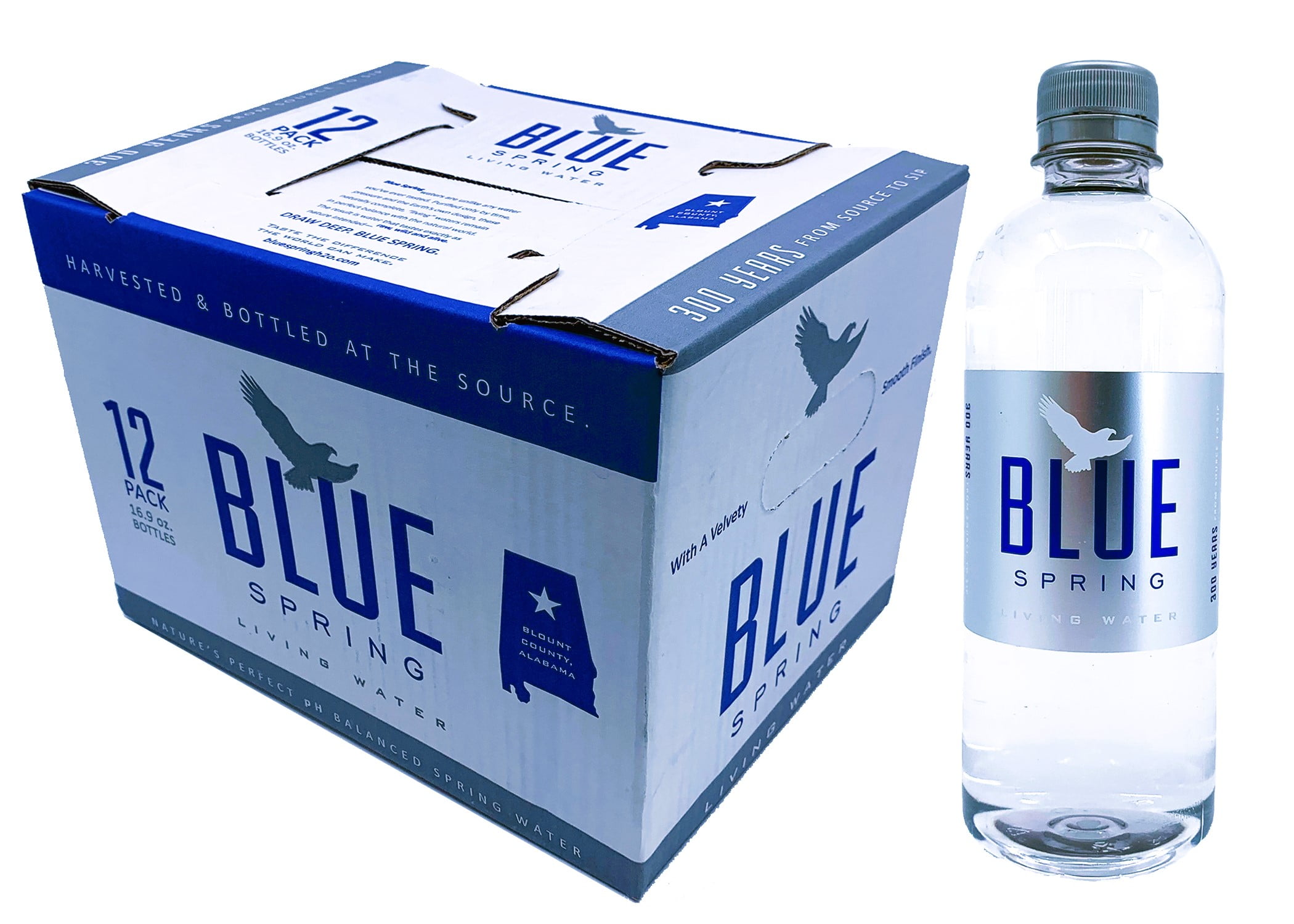 Blue Spring Living Water Natural Spring Water 16.9fl oz, 12 Pack