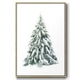 Blue Spruce I - Framed Gallery Wrapped Holiday Canvas - 17 x 25 ...