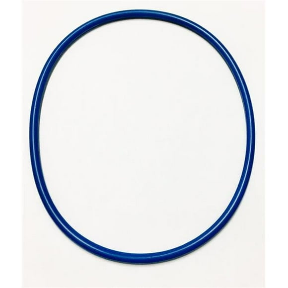 Blue Square 502004 Abyss Debris Canister Oring