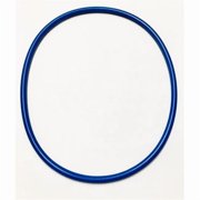 Blue Square Abyss Canister O-Ring | 502004