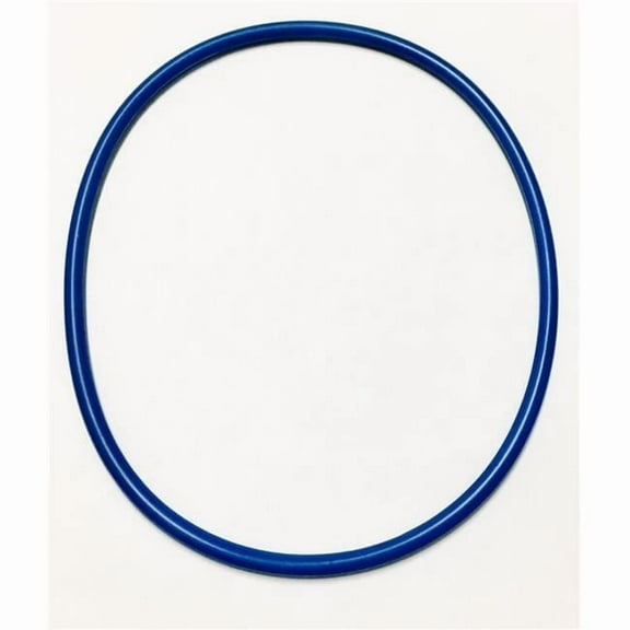 Blue Square Abyss Canister O-Ring | 502004