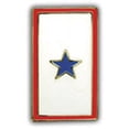 thumbnail image 1 of Blue Star Flag Pin, 1 of 2